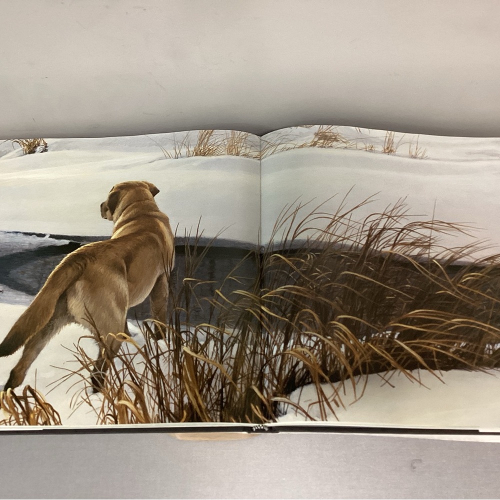 🟡 Vintage Robert Bateman - Natural World Large Coffee Table Book - Rick Archbold - Picture 6 of 16